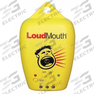 WATTS RADIANT LoudMouth Monitor (MPN 423250HW) - Battery-Powered Water Detectors