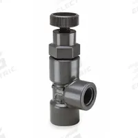 HAYWARD Globe Valve: For Fluids Media, PVC, Angle, 1/4 in Pipe Size, FNPT x FNPT, Female, NPT, NPT (MPN AV10025T). Key specifications — Brand: HAYWARD; Stem: Rising.