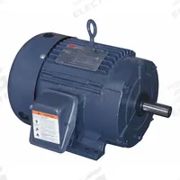 DAYTON General Purpose Motor: Rigid Base Mount, Totally Enclosed Fan Cooled, 5 hp, 230/460V AC (MPN 194147.00). Key specifications — Brand: DAYTON; Nameplate Voltage @ 60 Hz: 230/460V AC; Full Load Current @ 60 Hz: 12.4/6.2 A; Nameplate RPM @ 60 Hz: 1,750 RPM; Motor Enclosure: TEFC.