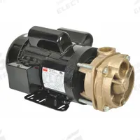 Turbine Pump: 1 1/2 hp, 115/208-230V AC, 140 psi Shut Off (MPN 53EA98). Key specifications — Brand: DAYTON; Motor Enclosure Type: TEFC.