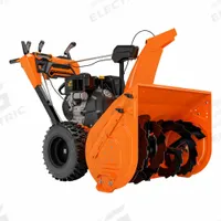 ARIENS Gas-Powered Walk-Behind Snow Blower: 200° Chute Turning Radius, Ariens, Gas-Powered (MPN 926092). Key specifications — Engine Brand: Ariens; Engine Cycle: 4-Cycle; Speed Settings: Variable; Brand: ARIENS.