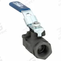 CHEMTROL Manual Two-Way Ball Valve: 1/2 in, Carbon Steel, Straight, FNPT x FNPT, Std Port Ball Port (MPN NL94T56). Key specifications — Brand: CHEMTROL; Handle: Locking Lever.