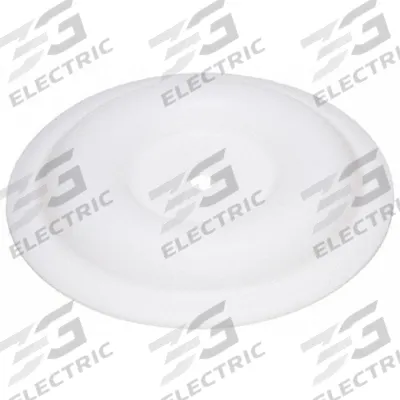 Dayton Diaphragm: PTFE, 1.5 in For Pump Size, 40°F to 212°F - Dayton Replacement Diaphragms