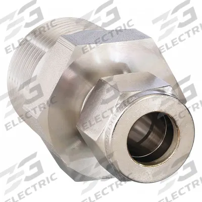 PARKER Compression Fitting Adapter: 1 in OD x 3/4 in Pipe Fitting Size - Double-Ferrule Stainless Steel Fittings