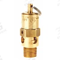 CONRADER Safety Valve: Hard Seat, 1/4 in (M)NPT Inlet (In.), 1/4 in (F)NPT Outlet (In.), Brass (MPN SRH250-1/4-CE-060). Key specifications — attr291993: Hard Seat; attr291998: Brass; attr292007: Stainless Steel; attr292009: Brass; attr294753: CONRADER.