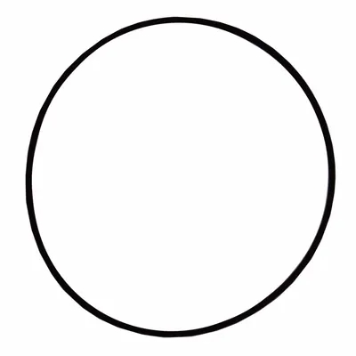 PARKER O-Ring: Mfr Part # V72041 - Replacement Parts for Hydraulic Filtration Systems