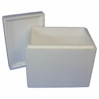 Insulated Shipping Container: 19 in x 12 in x 16 in, 1.5 in Insert Wall Thick, Cardboard, Styrofoam (MPN 266C)