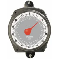 TAYLOR Mechanical Hanging Scale: kg/lb, 0.5 lb/250 g, Analog Dial, 70 lb Wt Capacity - Imperial (MPN 3470410410)