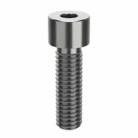 Socket Head Cap Screw: 3/8"-16 Thread Size, 1 1/4 in Lg, Std, NL-19, Stainless Steel, 18-8, 25 PK (MPN FBSCAPS3816114P25)