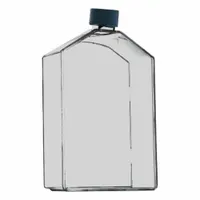 This sterile polystyrene cell culture flask has a 70 mL (2.37 fl oz) capacity and includes a closure. Designed for growing and maintaining cell cultures in laboratory research, it provides a closed system suitable for adherent cell lines