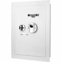 Safe: Biometric Lock, 0.52 cu ft Capacity, Steel, 20 3/4 in H x 15 3/8 in W x 3 3/4 in D (MPN AX13030)