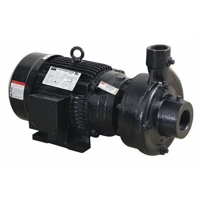 Dayton Centrifugal Pump: 3 hp, 208-240/480V AC, 84 ft Max Head, 2 in - 2 to 3 HP Straight Centrifugal Pumps