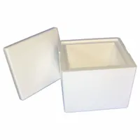 Insulated Shipping Container: 12 3/8 in x 10 1/2 in x 10 3/8 in, 2 in Insert Wall Thick, Cardboard (MPN 232C)