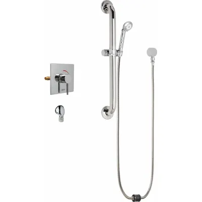 CHICAGO FAUCETS SH-TP6-00-023 Single-Handle Shower Faucet with - Shower Faucets with Hand-Held Showerheads