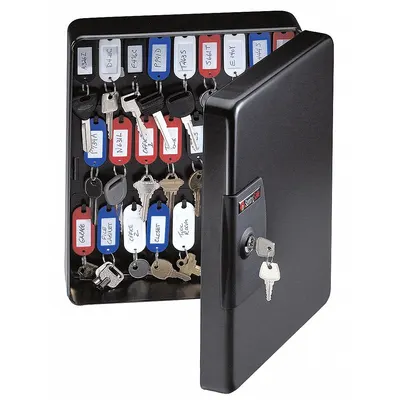 SENTRY SAFE Key Cabinet: 50 Key Capacity, Single Key Lock, Steel, Black, 11 3/4 in Ht - Key Cabinets with Key Lock