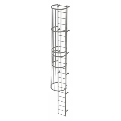 TRI-ARC Fixed Ladder with Safety Cage: 21 ft Overall Ht, 18 in Overall Wd, Steel - Safety Cage Fixed Ladders