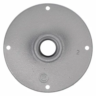 APPLETON ELECTRIC Covers for Conduit Access Fitting: Iron, Chromate Coated/Electroplated/Powder Coated - Covers for Conduit Access Fittings