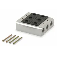 Manifold Kit: 2 Valve Ports, Side-Ported Body, 15°F to 122°F, 45 psi to 140 psi, Female 3/8 in NPT (MPN M30M03-02)