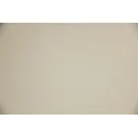 PETG wall panel for surface protection in high-traffic areas. Measures 10 ft x 4 ft with 0.06 in thickness. Color: Parchment. Suitable for corridors, loading docks, and manufacturing environments where impact and abrasion resistance is required