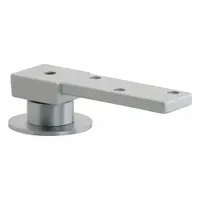 Brass center-hung pivot hinge with a leaf height of 1 5/8 in and leaf width of 1 1/4 in. Used in commercial and industrial door applications where a concealed pivot point is required, supporting heavy doors in high-traffic areas