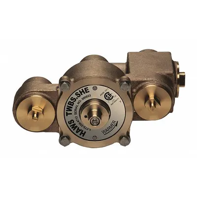 HAWS TWBS.SHE Thermostatic Mixing Valve, 1 1/4 in NPT, Brass, Cold Water Bypass - Thermostatic Mixing Valves
