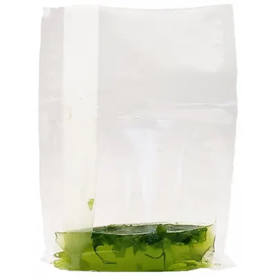 BENCHMARK SCIENTIFIC Blender Bag, LDPE, 6 3/4 in Wd, for IPD4400 - Homogenizer Accessories