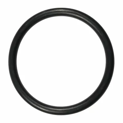 SPEEDAIRE Air Piston O-Ring, Mfr Part # TTR8212553G - Air Tool Replacement Parts