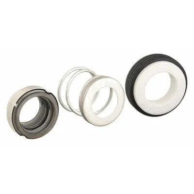 Dayton Shaft Seal and Gasket Assembly - Seals & Gaskets for Self-Priming Centrifugal Pumps