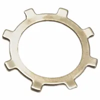 Retaining Ring: Inch, Self-Locking Retaining Ring, Tooth-Locking, For 7/8 in Bore Dia, Not Graded (MPN TI-87SS)