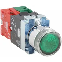 DAYTON Illuminated Push Button: Illuminated, Extended Profile, Metallic, 22 mm, 1NO/1NC