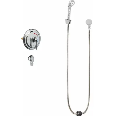 CHICAGO FAUCETS SH-TP5-00-020 Shower Faucet with Hand-Held Showerhead - Shower Faucets with Hand-Held Showerheads