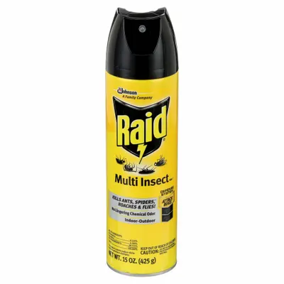 RAID Insect Killer Aerosol Spray, 15 oz, for Flying and Crawling Insects - Insecticides for Flying & Crawling Insects
