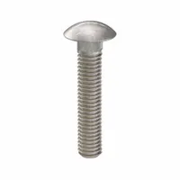 Carriage Bolt: Square Neck, 3/8"-16 Thread Size, 2 in lg, Stainless Steel, 316, Plain, 5 PK (MPN ZBOLT-4996)