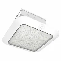 Petroleum Canopy: LED, 3000K/4000K/5000K, 131 W Fixture Watt, 120 to 277V AC, Type V, White (MPN PCNY LED ALO2 SWW2 FPCL MVOLT DWHXD M3)