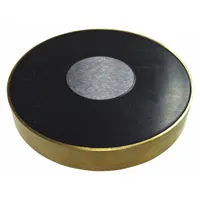 Ceramic Magnets: Encased, 0.4 in Thick, 2 1/2 in Outside Dia (MPN 1256-T)