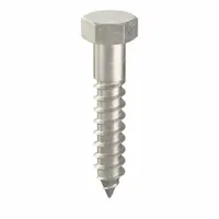 Hex Head Lag Screw: 3/8 in Size, 2 in Lg, Stainless Steel, NL-19, 10 PK (MPN FBLB382P10)
