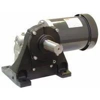 DAYTON AC Gearmotor: Right Angle, Single Output Shaft, 3-Phase, TEFC, 30 RPM, 1,168 in-lb Max Torque