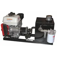 Frame-mounted hydraulic power unit powered by a 160cc Honda engine. Delivers 2.5 gpm flow at a maximum pressure of 2300 psi. Suitable for powering hydraulic tools and equipment in field applications where electric power is not available