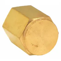 Threaded extreme-pressure instrumentation pipe fitting used to seal pipe ends in high-pressure fluid systems. Made from Bright C36000 brass with 1/8 in NPT threads, 3/4 in length, and rated for 4000 psi maximum operating pressure