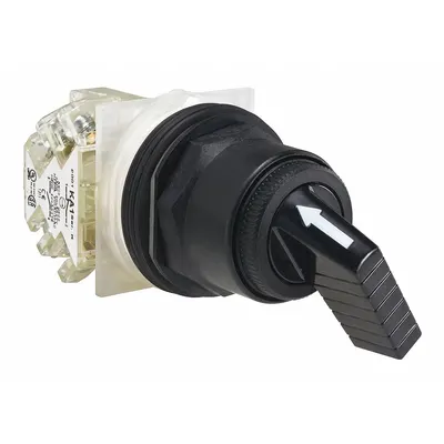 SCHNEIDER Selector Switch: 30 mm Panel Mounting Size, 2 Positions, Extended Lever - Selector Switches