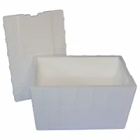 Insulated Shipping Container: 30 1/4 in x 14 1/2 in x 16 in, 1.5 in Insert Wall Thick, Cardboard (MPN 281C)