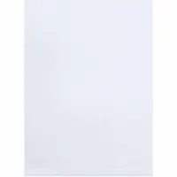 APPROVED VENDOR Open-Ended Bag: Light-Duty, Polyethylene (PE), 2 mil Thick, 38 in Wd, Clear, 200 PK (MPN PB10129)
