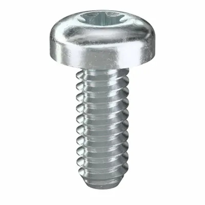 TAMPER-PRUF SCREW Machine Screw: #10-24 Thread Size, 1/2 in Lg, Steel, Zinc-Plated, Pan, Torx/Star - Pan Head Machine Screws