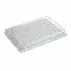 This 96-well microplate is made of polystyrene with a natural body color. Each well has a 0.3 mL capacity and the plate measures 85 mm in diameter. It is non-sterile and not RNase/DNase free. Suitable for high-throughput sample processing, storage, and assay preparation in laboratory settings where non-sterile conditions are acceptable.