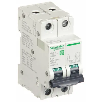 SCHNEIDER Supplementary Protector: 2 A Amps, 14kA at 240V AC, Screw Clamp, C60SP - B-Curve, 2-Pole UL1077 DIN Rail-Mount Supplementary Protectors