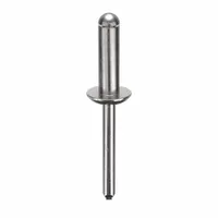 Domed-head blind rivet with 0.25-inch diameter, 2.174-inch overall length, and 13/16-inch body length. Inch-series fastener supplied in a 100-pack. Used for joining materials where access is limited to one side, creating a permanent, vibration-resistant joint in sheet metal, plastic, and composite assemblies
