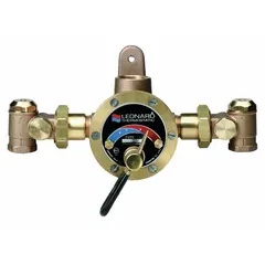 Thermostatic mixing valve for blending steam with cold water. Features 3/4 in x 1 in connection size and NBR seal material. Used in industrial processes requiring controlled hot water delivery.