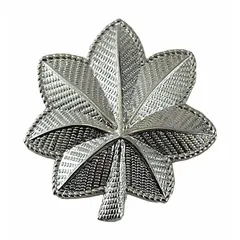 Metallic insignia featuring a leaf design in silver finish. Constructed of metal with pin and safety catch attachment for secure fastening to fabric. Suitable for displaying rank on uniforms or ceremonial attire.