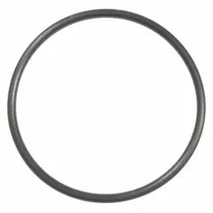 O-ring for dewatering and wastewater pumps. Provides a seal between mating surfaces to prevent fluid leakage in industrial water-handling equipment.
