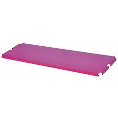 This removable shelf is constructed of steel with a red finish. It measures 60 inches in overall length, 16 inches in overall width, and 1 1/16 inches in overall height. Designed for use with narrow tall-handle platform trucks, it provides additional organizing and transporting capacity in material handling applications.